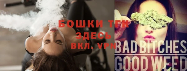 трава Арсеньев