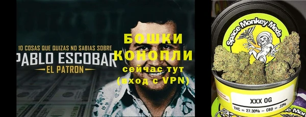 твердый Аркадак