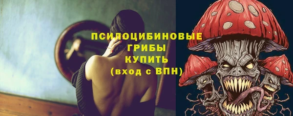 твердый Аркадак
