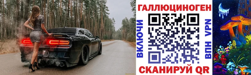 где купить наркотик  Горняк  hydra ССЫЛКА  Псилоцибиновые грибы мицелий 